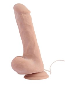 Reasitičan Vibrator  CN 101831127-2